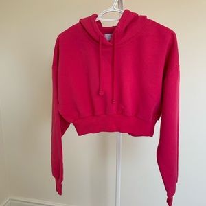 Aritzia TNA Cropped Hoodie